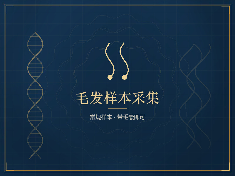 毛发样本采集